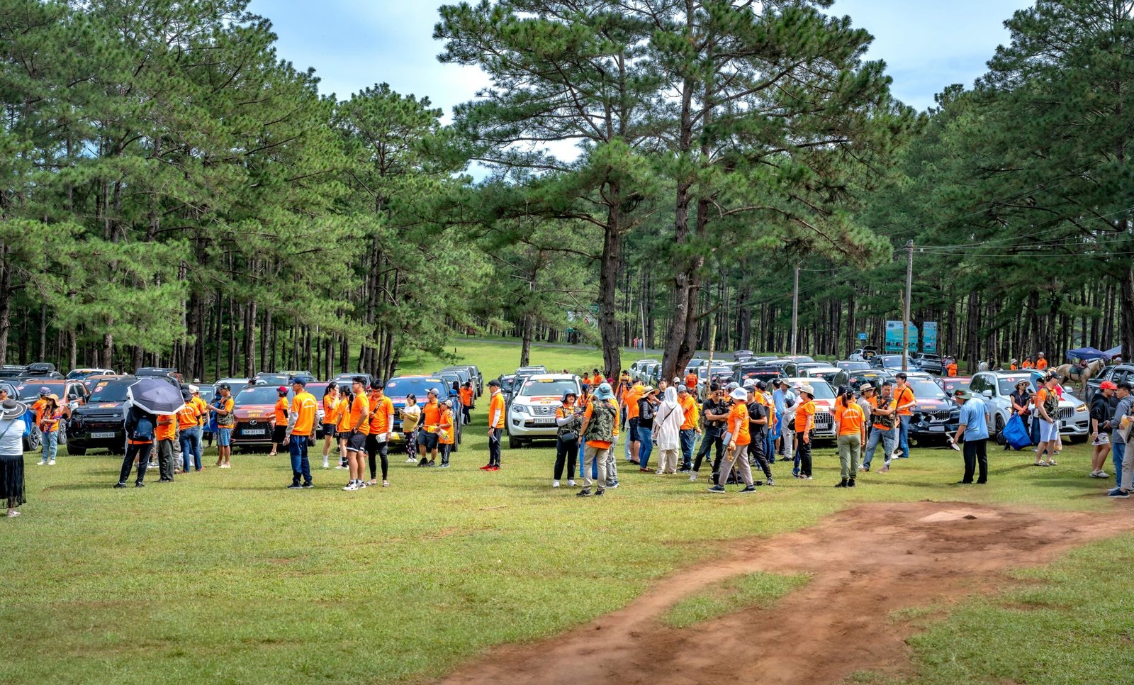 Large group gathering in pine forest with cars and orange shirts, scenic outdoor event.